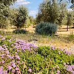 Trulli Acquasala - Apulian Country Experience *