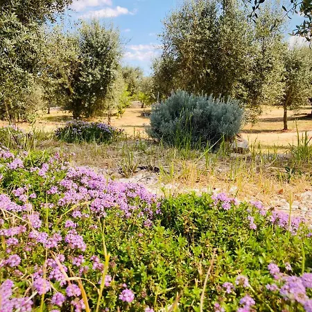 Trulli Acquasala - Apulian Country Experience *