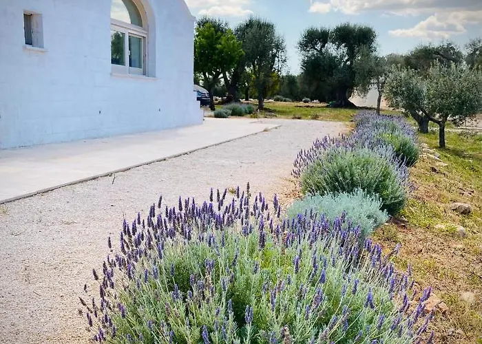 Trulli Acquasala - Apulian Country Experience 奥斯图尼