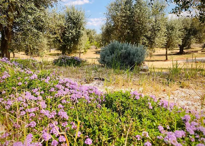 Trulli Acquasala - Apulian Country Experience *