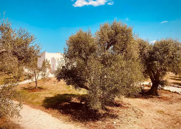Trulli Acquasala - Apulian Country Experience 奥斯图尼