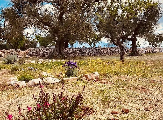 Trulli Acquasala - Apulian Country Experience 别墅 奥斯图尼