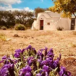 Trulli Acquasala - Apulian Country Experience