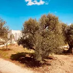 Trulli Acquasala - Apulian Country Experience オストゥーニ