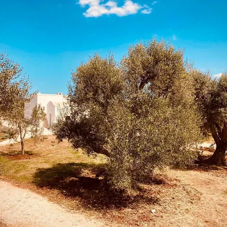 Trulli Acquasala - Apulian Country Experience אוסטוני