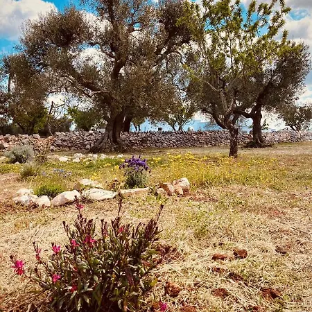 Trulli Acquasala - Apulian Country Experience וילה אוסטוני