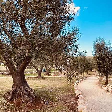 Trulli Acquasala - Apulian Country Experience * אוסטוני