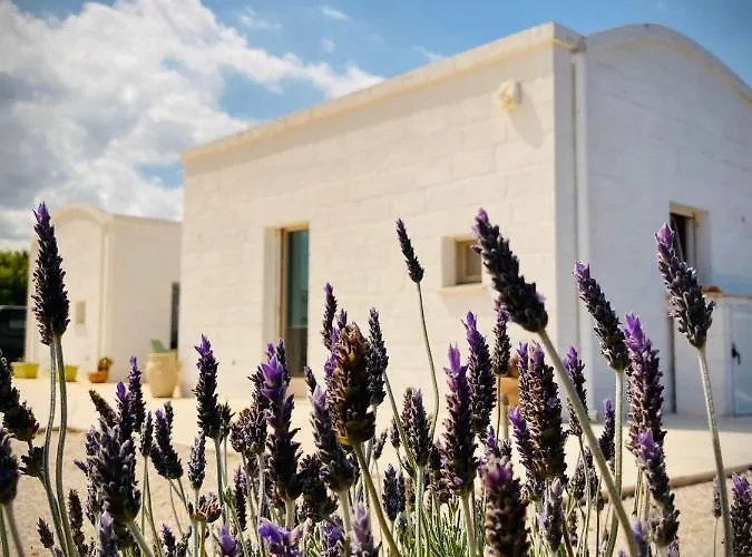 Trulli Acquasala - Apulian Country Experience 빌라 오스투니