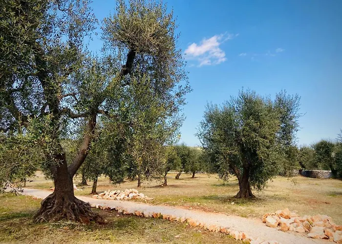 Trulli Acquasala - Apulian Country Experience Villa *