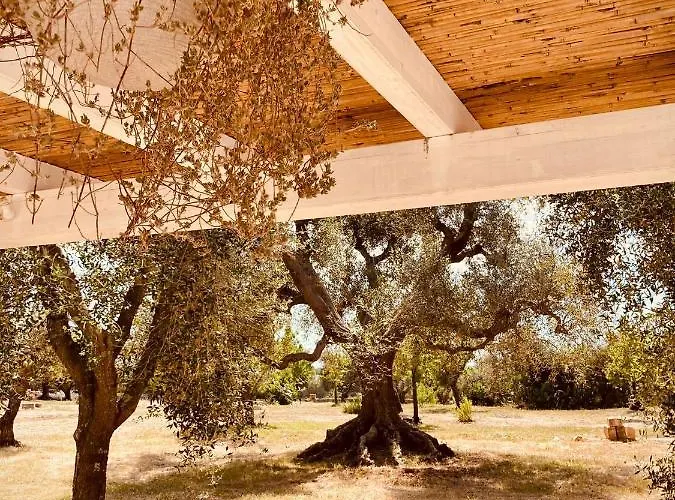 빌라 Trulli Acquasala - Apulian Country Experience *