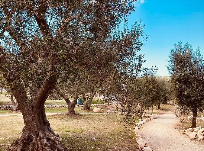 Trulli Acquasala - Apulian Country Experience * 오스투니